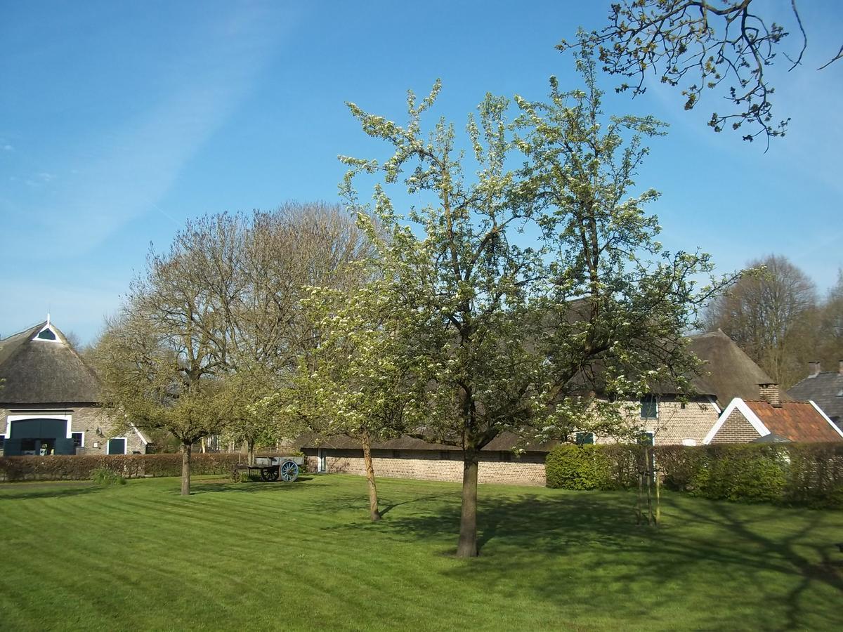 B&B Slaoperij Orvelte 外观 照片